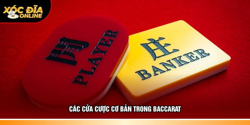 Hiểu đầy đủ cửa cược cơ bản trong Baccarat