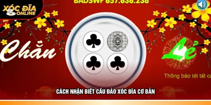 Kinh nghiệm nhận biết cầu đảo xóc đĩa cơ bản