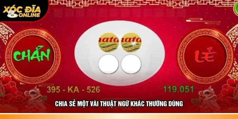 Hiểu rõ một vài thuật ngữ khác thường dùng