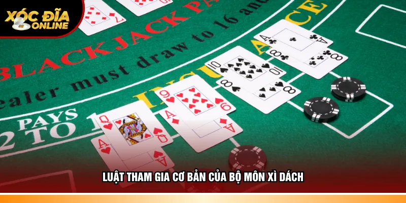 Hiểu quy tắc tham gia cơ bản của bộ môn Xì Dách