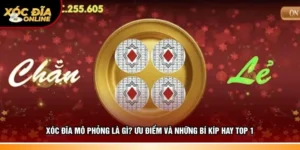 Xóc đĩa mô phỏng